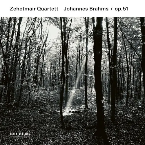ZEHETMAIR QUARTETT / ツェートマイアー・クァルテット / BRAHMS:STRING QUARTET NO.1&2