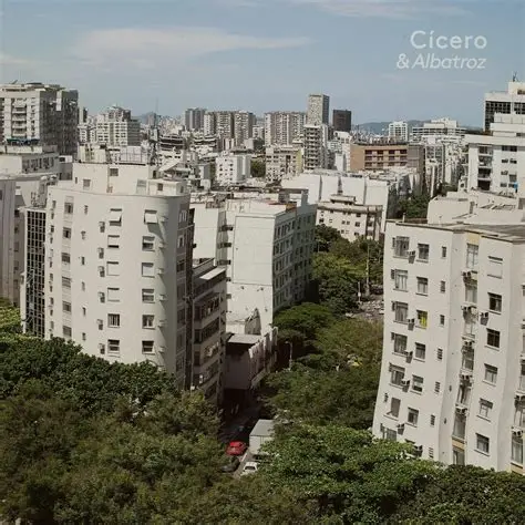 CICERO & ALBATROZ / シセロ & アルバトロス / CICERO & ALBATROZ