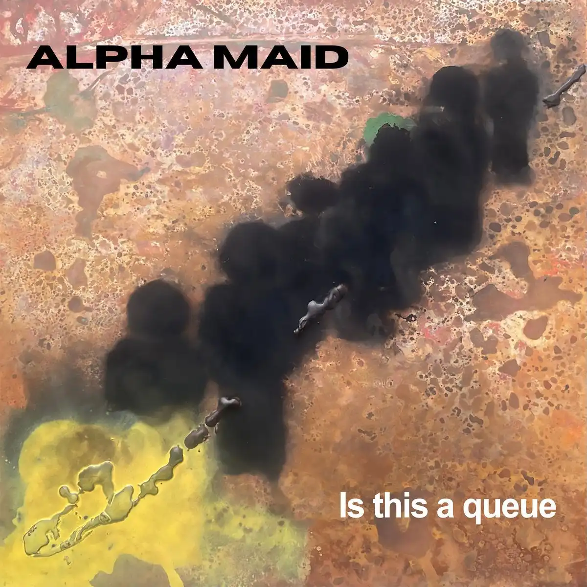 ALPHA MAID / IS THIS A QUEUE [LP]