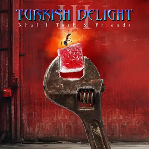 TURKISH DELIGHT (KHALIL TURK & FRIENDS) / ターキッシュ・デライト (KHALIL TURK & FRIENDS) / TURKISH DELIGHT : VOLUME 3<VINYL>
