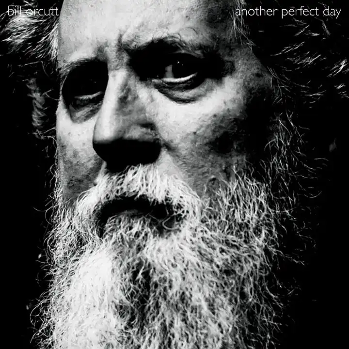 BILL ORCUTT / ビル・オーカット / ANOTHER PERFECT DAY [VINYL]