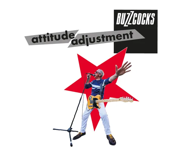 BUZZCOCKS / バズコックス 商品一覧 | ディスクユニオン・オンライン
