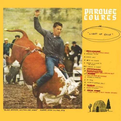PARQUET COURTS / パーケイ・コーツ / LIGHT UP GOLD [CD]