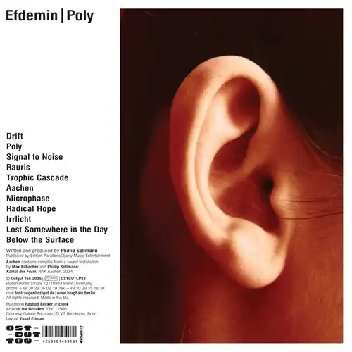 EFDEMIN / エフデミン / POLY (2LP)