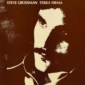 STEVE GROSSMAN / スティーヴ・グロスマン / テラ・ファーマ