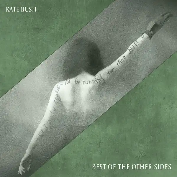KATE BUSH / ケイト・ブッシュ / BEST OF THE OTHER SIDES (CD)