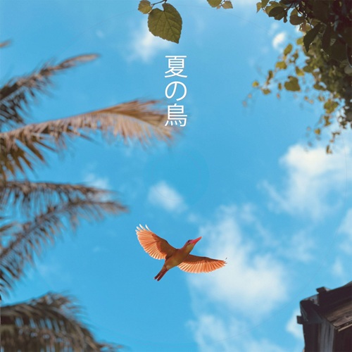 NAKAYAMA TOMOYO / 中山智代 / 夏の鳥