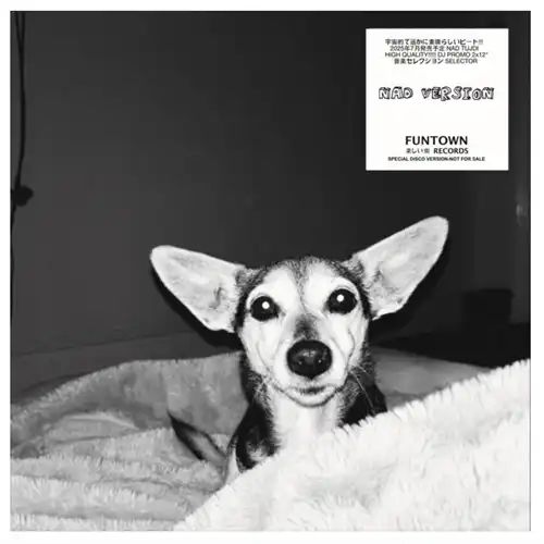 NAD (DAN TYLER) / FUNTOWN EDITS (2LP)