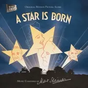 MAX STEINER / マックス・スタイナー / A STAR IS BORN