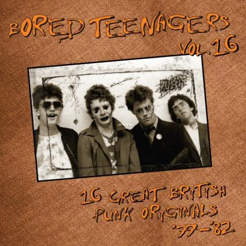 VA (BIN LINER RECORDS) / BORED TEENAGERS VOL.16 (LP)