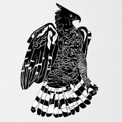 ALPHA STEPPA & NAI-J / CROWNED EAGLE