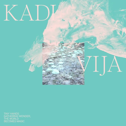 KADI VIJA / TINY HANDS GATHERING WONDER, THE WORLD BECOMES MAGIC