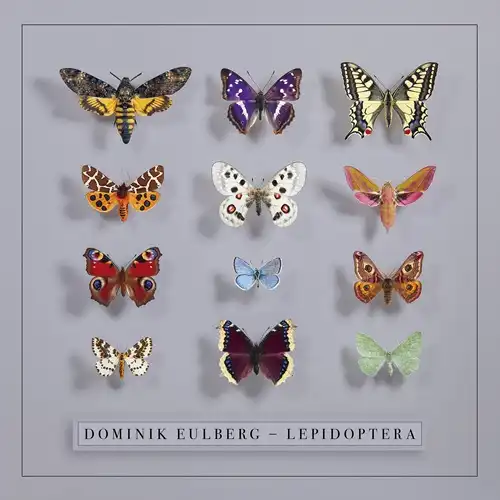 DOMINIK EULBERG / ドミニク・オイルベルク / LEPIDOPTERA (2LP)
