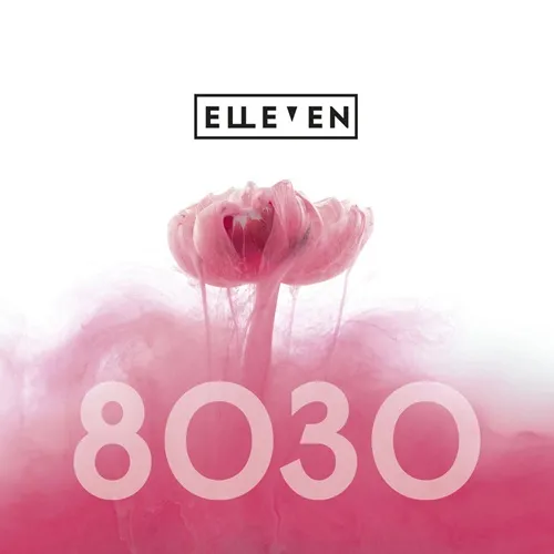 ELLEVEN / ELLEVEN (PROG) / 8030