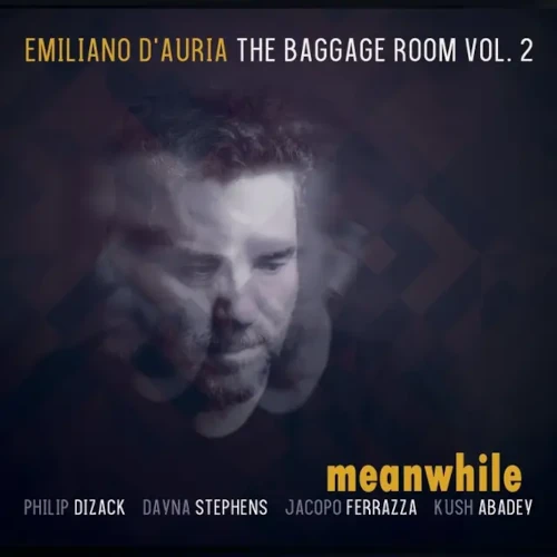 EMILIANO D'AURIA / エミリアーノ・ダウリア / BAGGAGE ROOM VOL.2 - MEANWHILE (LP)