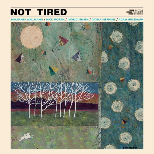 JOHANNES WALLMANN / ヨハネス・ウォールマン / NOT TIRED