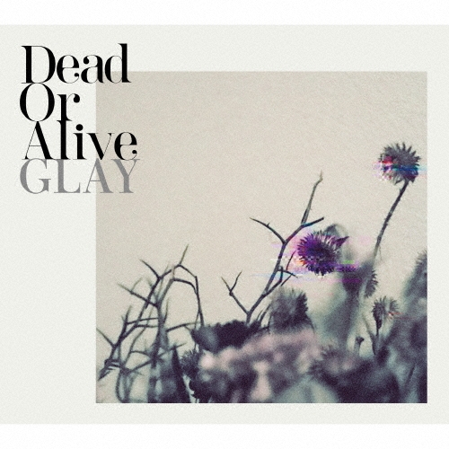 GLAY / グレイ / Dead Or Alive（CD+Blu-ray）