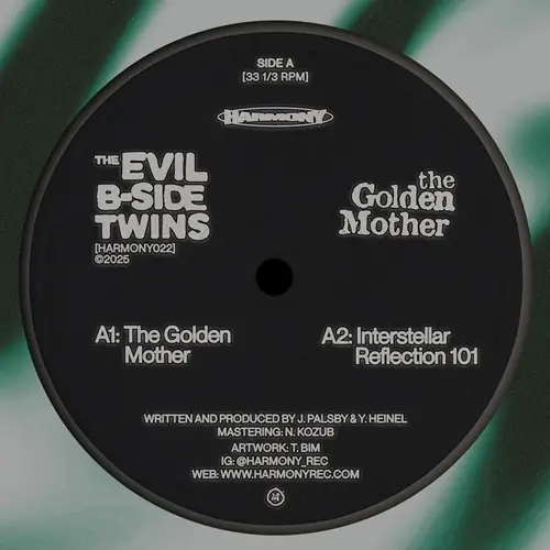 EVIL B-SIDE TWINS / GOLDEN MOTHER