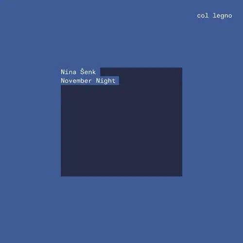 VIMBAYI KAZIBONI / ヴィンバイ・カズィボニ / NINA SENK:NOVEMBER NIGHT / N.SENK:NOVEMBER NIGHT