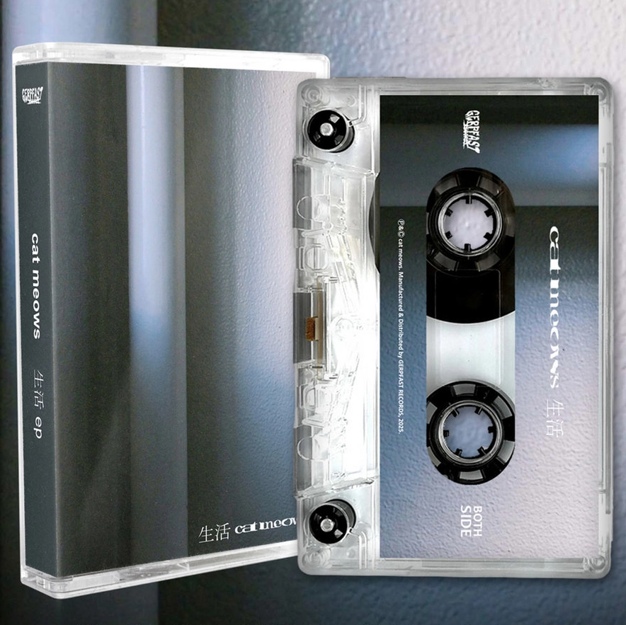 cat meows / 生活 ep