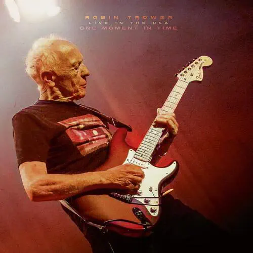 ROBIN TROWER / ロビン・トロワー / ONE MOMENT IN TIME - LIVE IN THE USA (CD)