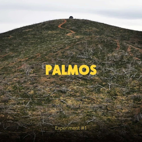 PALMOS EXPERIMENT / PALMOS EXPERIMENT - VOL 1