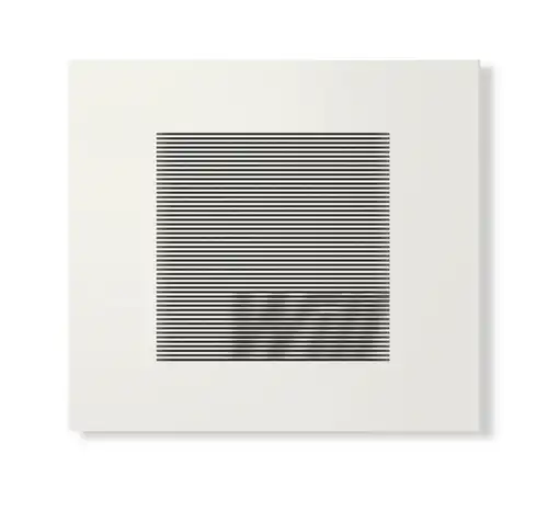 SUSUMU YOKOTA / ススム・ヨコタ / WILL (SKINTONE EDITION) [CD VERSION]