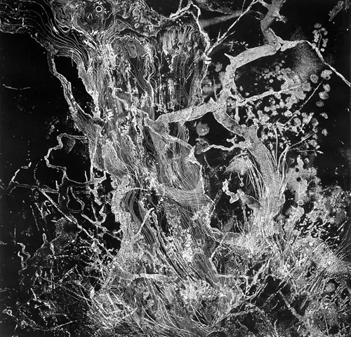 BRUIT (PROG: FRA) / MONOLITH