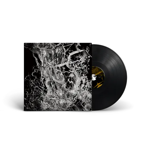BRUIT (PROG: FRA) / MONOLITH: LIMITED VINYL