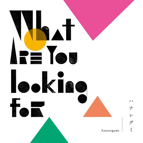 ハナレグミ / What are you looking for（LP）