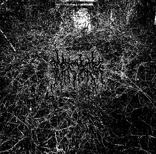 ARID / アリッド (US BLACK METAL) / ハーヴェスティング・ザ・トイル・オブ・フレッシュ・ビヨンド・ジ・エントゥームメント・オブ・ジ・エクスティンクション・ザット・イット・ボア / HARVESTING THE TOIL OF FLESH BEYOND THE ENTOMBMENT OF THE EXTINCTION THAT IT BORE