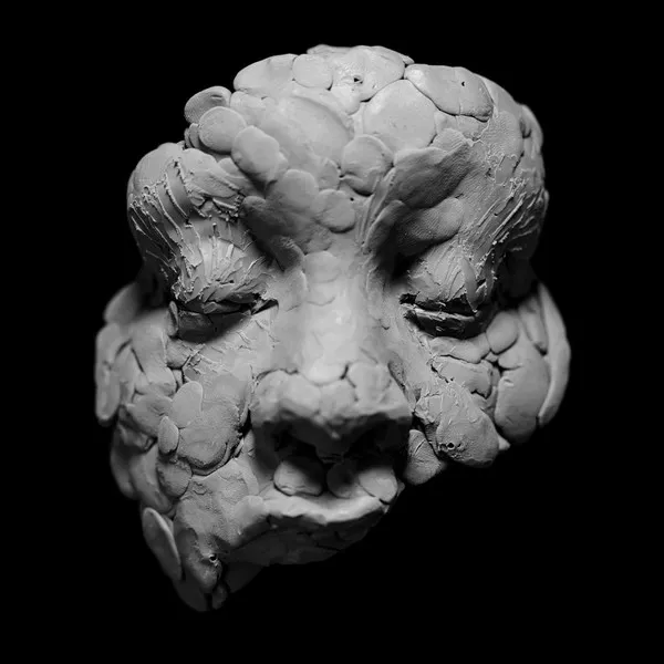 JOY OLADOKUN / OBSERVATIONS FROM A CROWDED ROOM