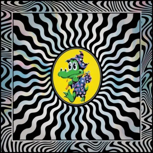 KING GIZZARD AND THE LIZARD WIZARD / キング・ギザード&ザ・リザード・ウィザード / FIELD OF VISION '25 (12LP)