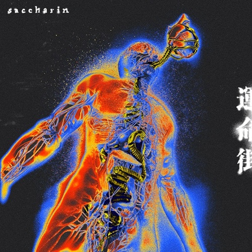 saccharin / 運命街