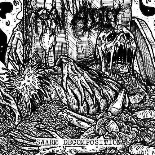 RAW ADDICT / SWARM DECOMPOSITION