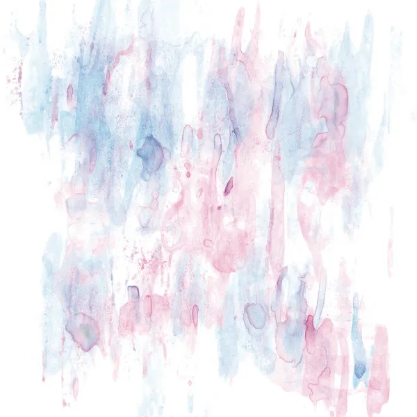ASTRÏD AND SYLVAIN CHAUVEAU / COVER SONGS ORIGINALLY SUNG BY WOMEN SINGERS