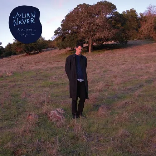 JULIAN NEVER / EVERYDAY IS PURGATION (LP)