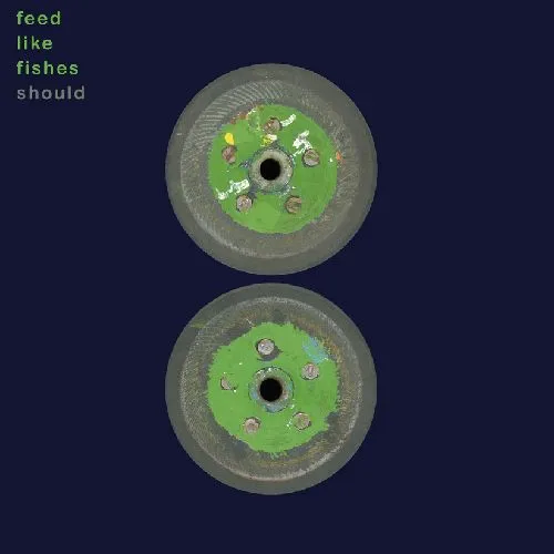 SHOULD / FEED LIKE FISHES