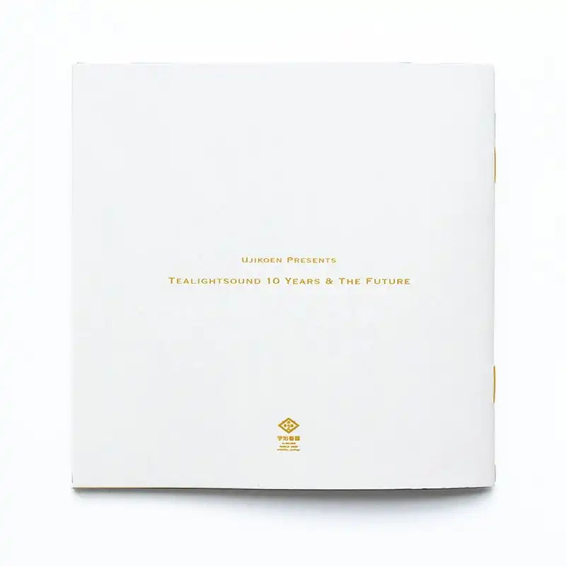 V.A. (NOISE / AVANT-GARDE) / TEALIGHTSOUND 10 YEARS & THE FUTURE