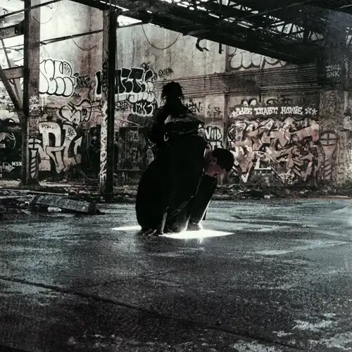 SWAMI SOUND & GUM.MP3 / STATE OF EMERGENCY (CDR)