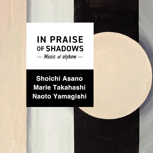 Shoichi Asano&Marie Takahashi&Naoto Yamagishi / 浅野昭一&高橋麻理絵&山岸直人 / イン･プレイズ･オブ･シャドウズ / IN PRAISE OF SHADOWS
