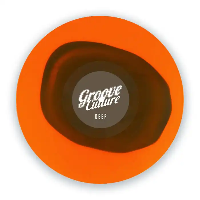 LUCA OLIVOTTO / BRING THE FUNK EP