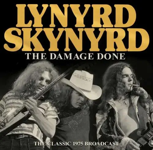 LYNYRD SKYNYRD / レーナード・スキナード / THE DAMAGE DONE (CD)
