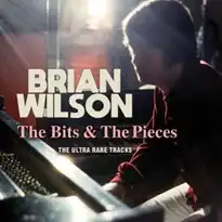 BRIAN WILSON / ブライアン・ウィルソン / THE BITS & THE PIECES (CD)