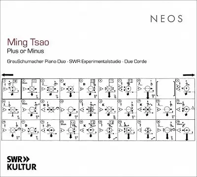 GRAUSCHUMACHER PIANO DUO / グラウシュマッハー・ピアノ・デュオ / TSAO:PLUS OR MINUS / MING TSAO:PLUS OR MINUS