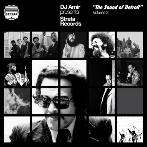 DJ AMIR / DJ AMIR PRESENTS STRATA RECORDS - THE SOUND OF DETROIT VOL.2