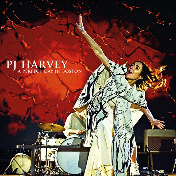 PJ HARVEY / PJ ハーヴェイ / A PERFECT DAY IN BOSTON (2LP)