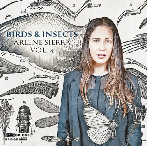 STEVEN BECK / スティーヴン・ベック / ARLENE SIERRA:BIRDS & INSECTS / A.SIERRA:BIRDS & INSECTS