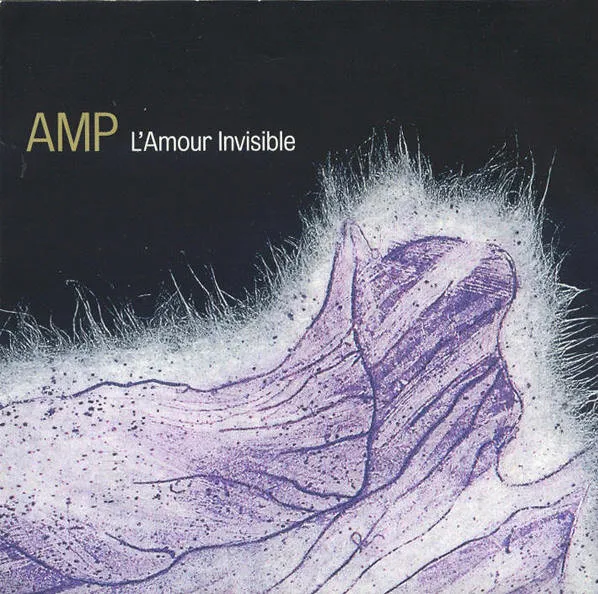 AMP / L'AMOUR INVISIBLE