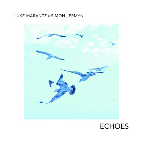 SIMON JERMYN / ECHOES
